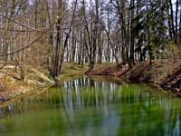 Pond in Mezotne park